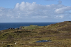 Picture6