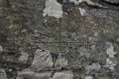 Picture8