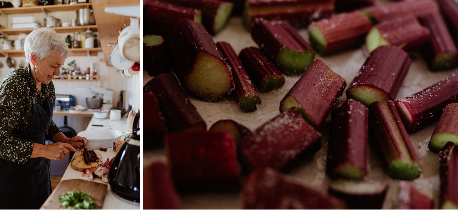 Image fresh rhubarb on a tray to make a refreshing summer drink.