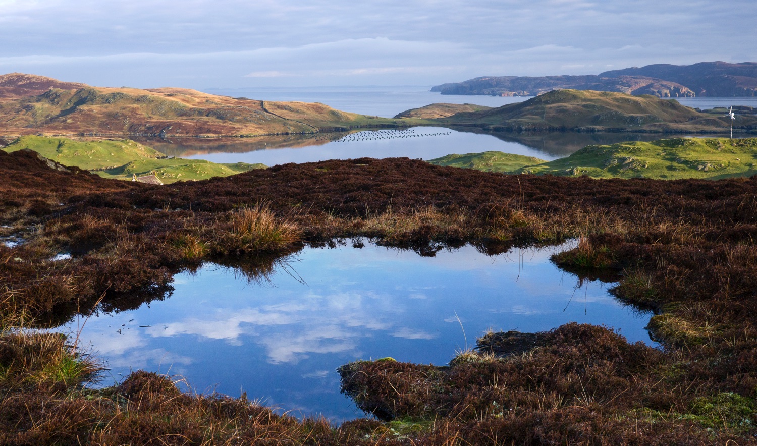 Beautiful image of shetland