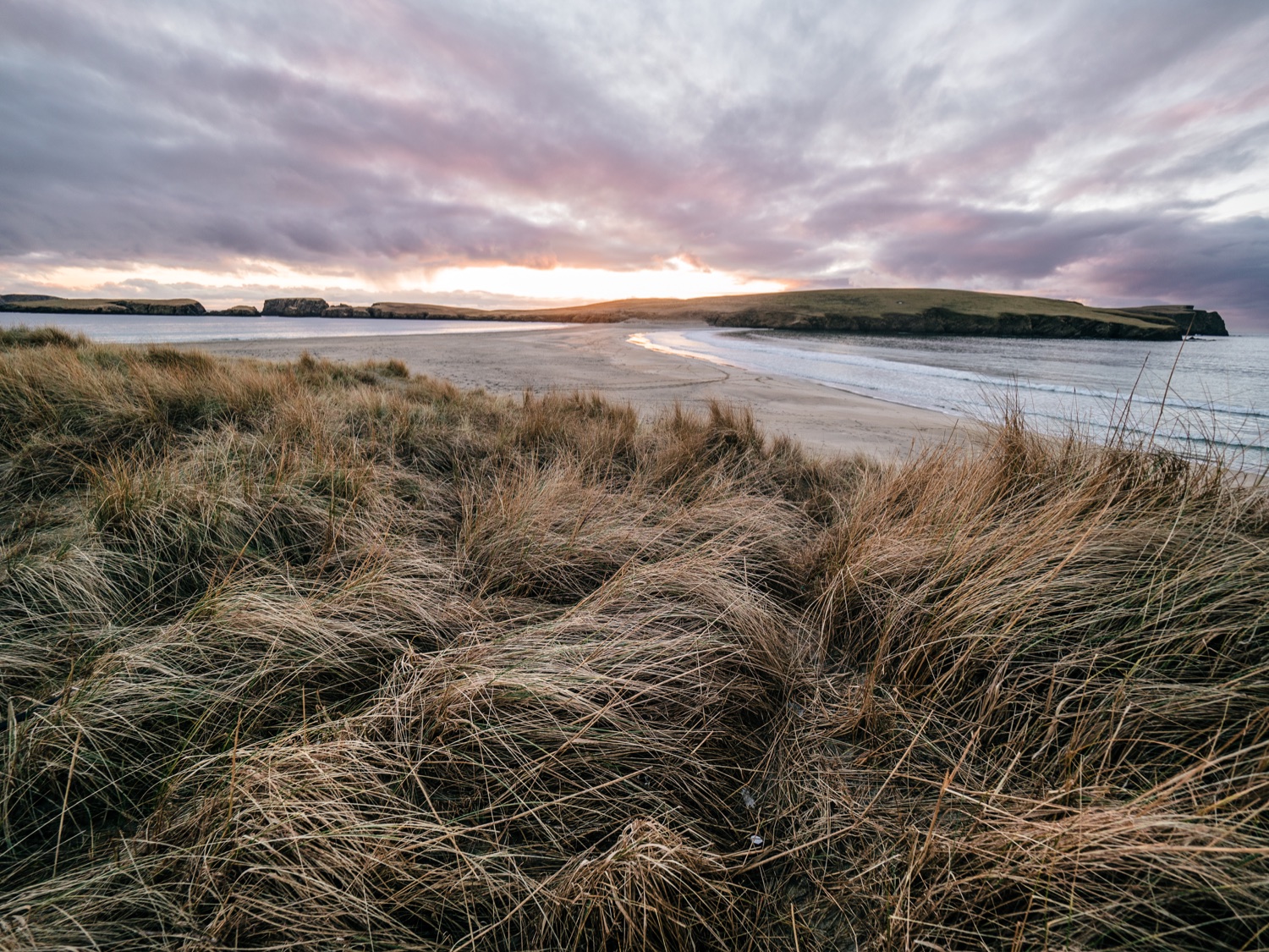 An image of long grasses and ocean, taken at St Ninian's Isle in Shetland